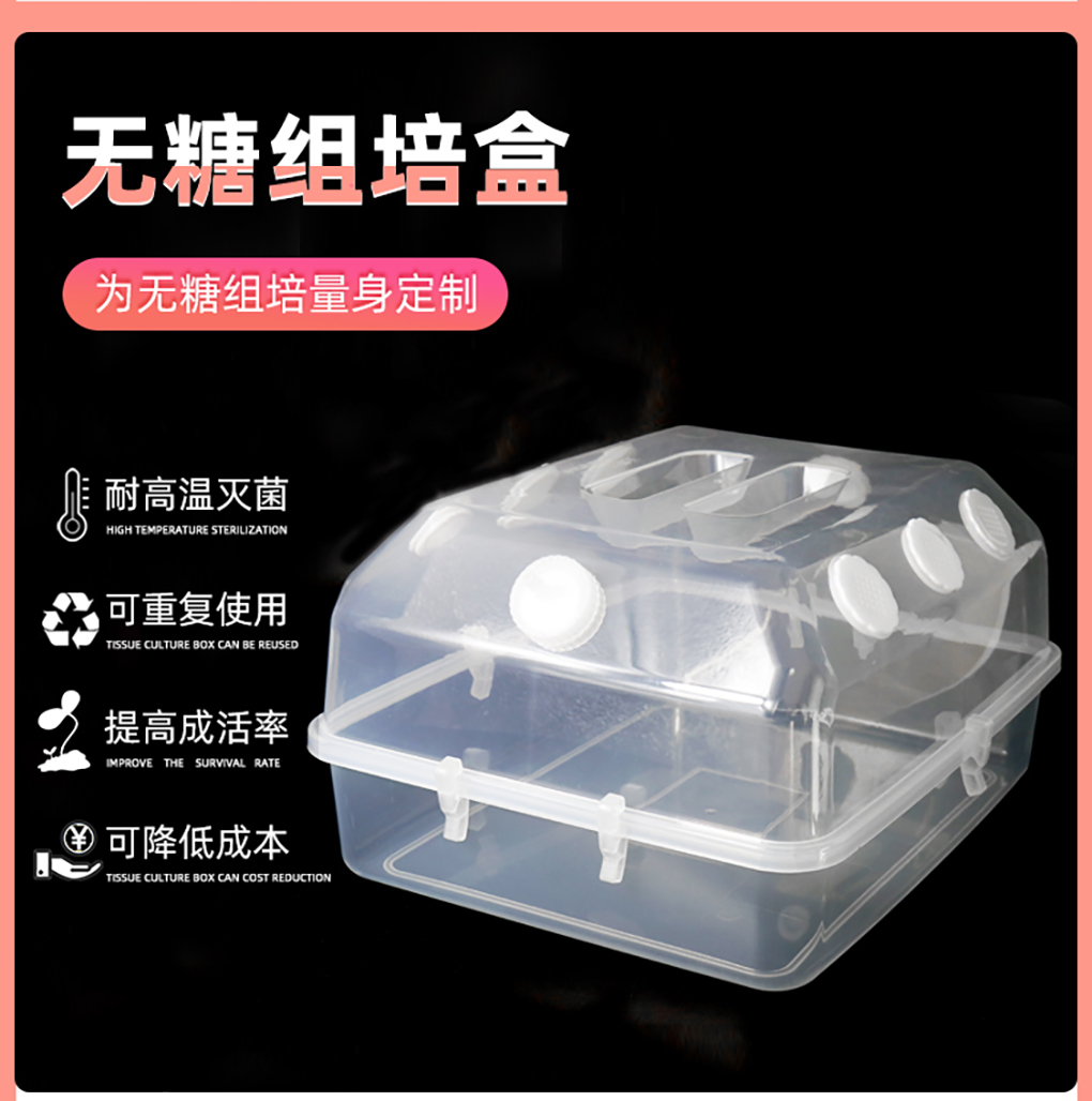 無糖培養(yǎng)盒_06.jpg