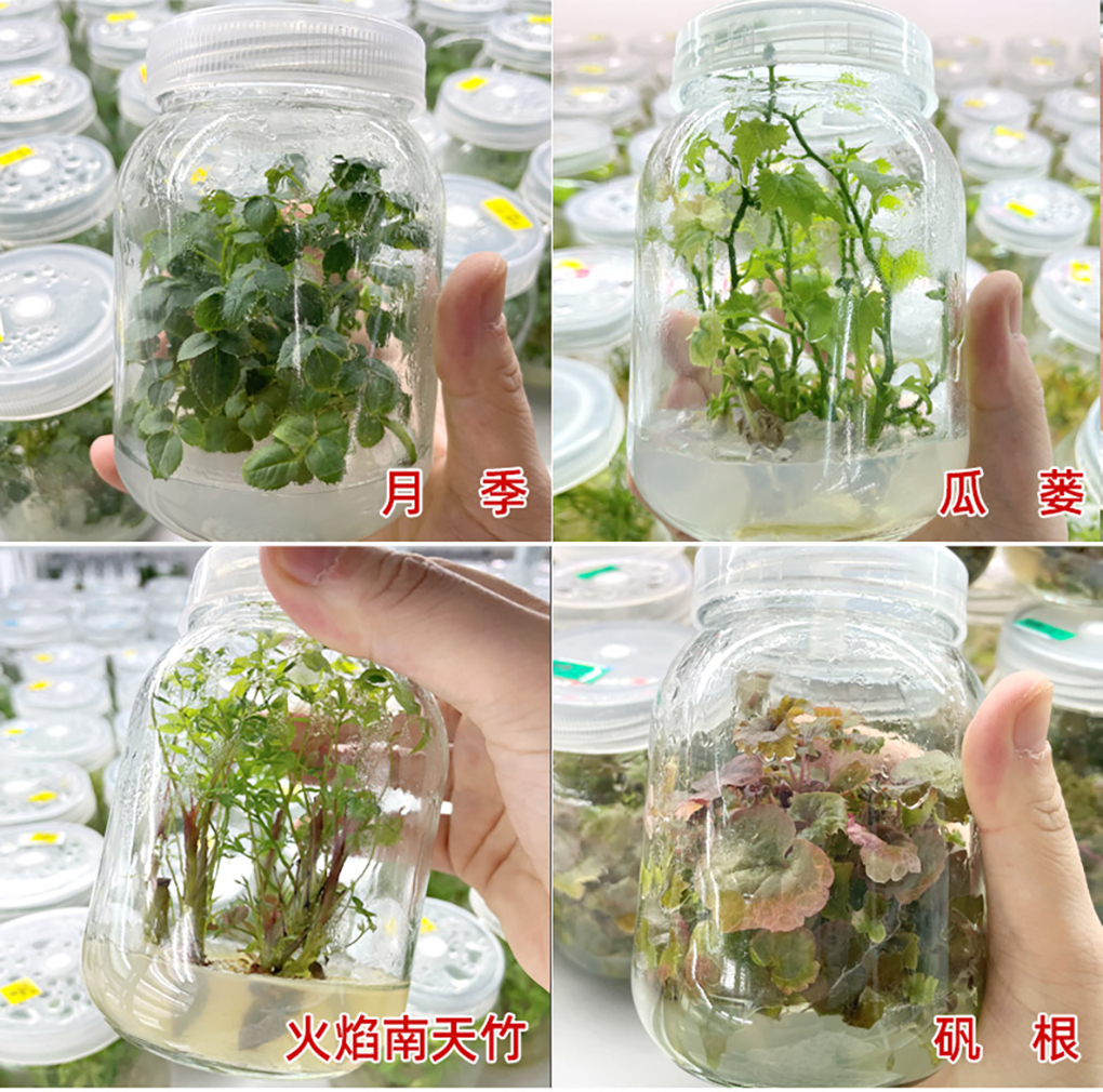 培養(yǎng)基詳情頁(yè)_14.jpg
