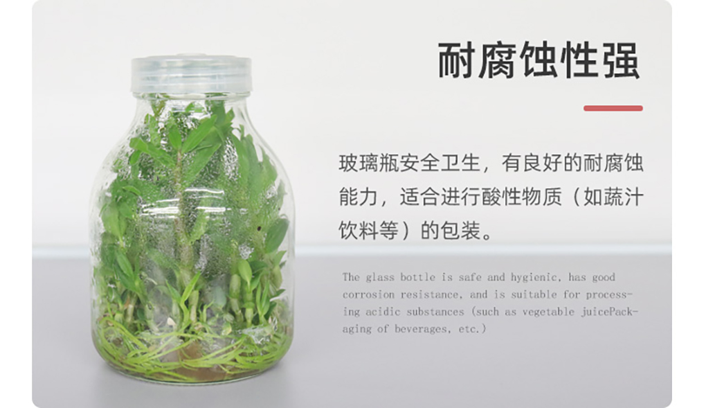 玻璃組培瓶_06.jpg