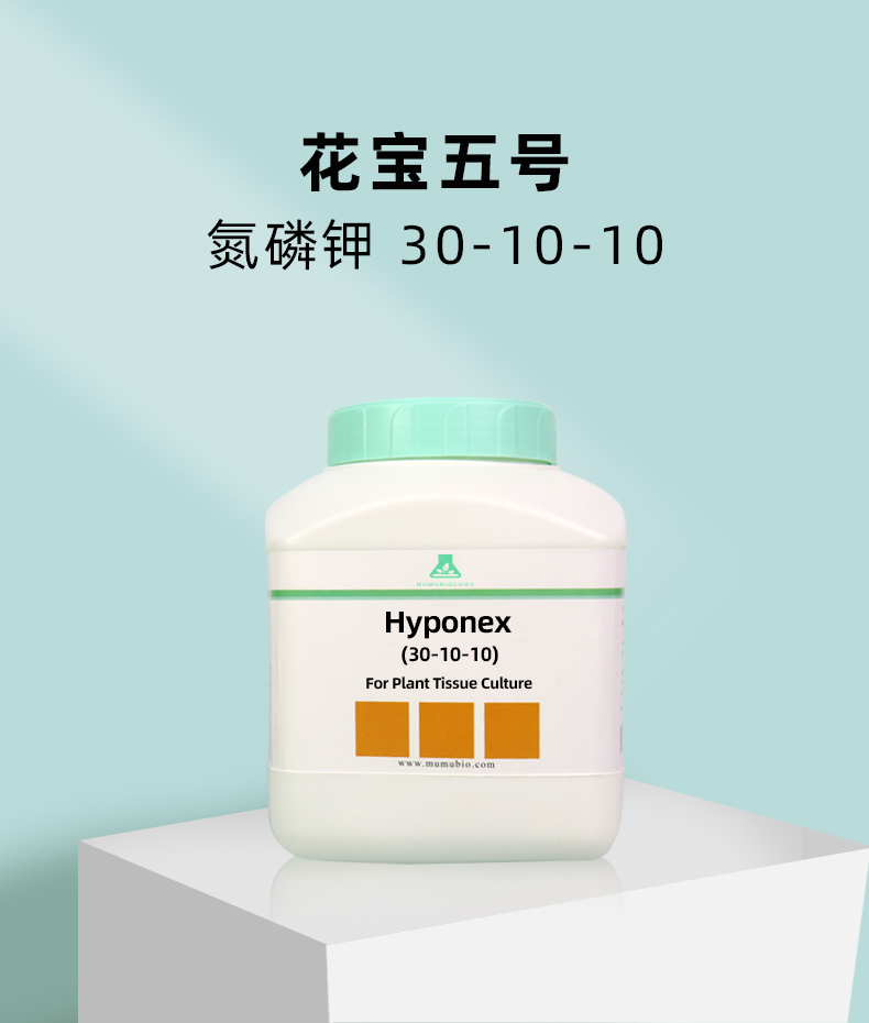 花寶組培_07.jpg